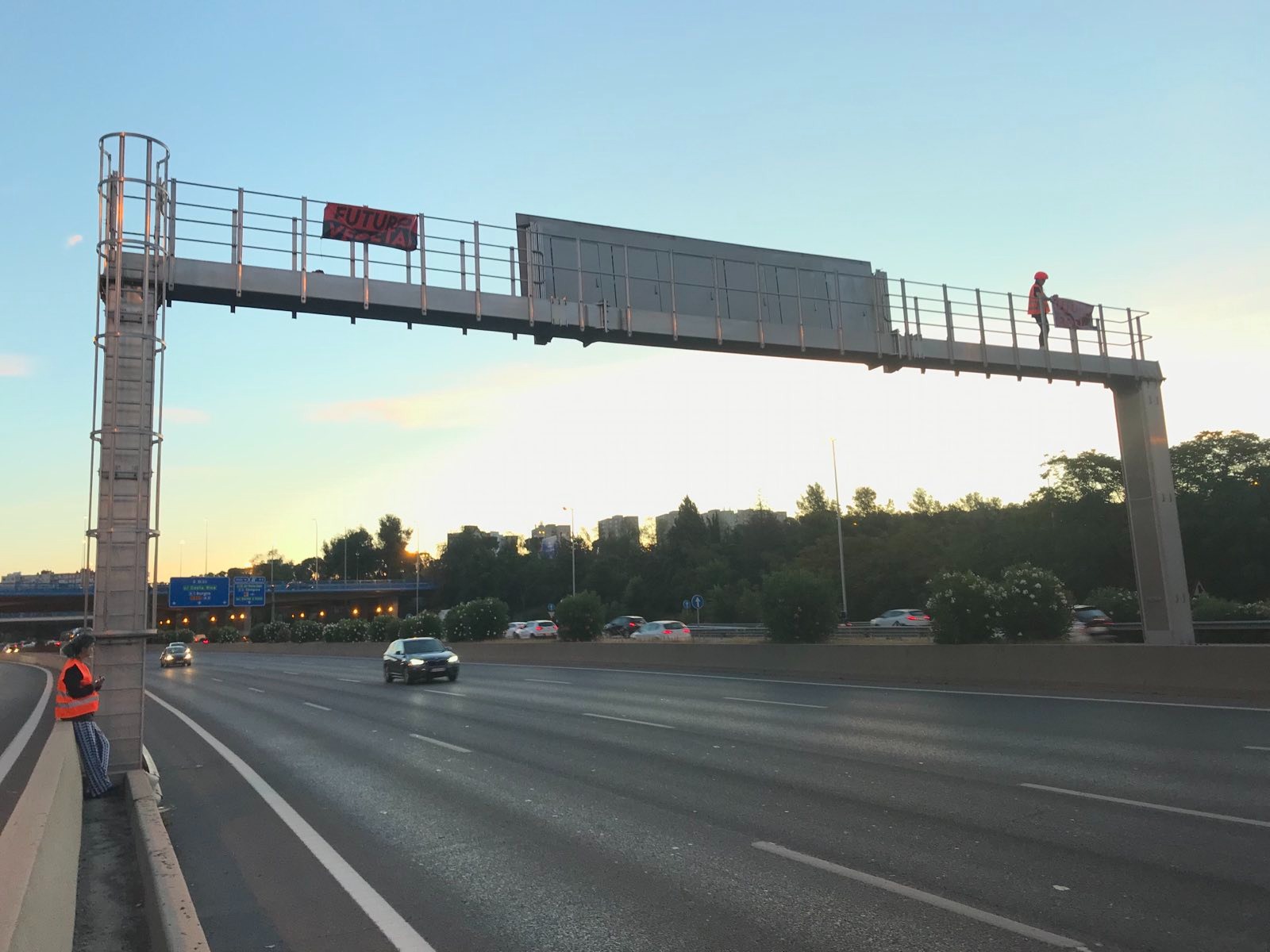 Futuro Vegetal obliga a cortar la M-30